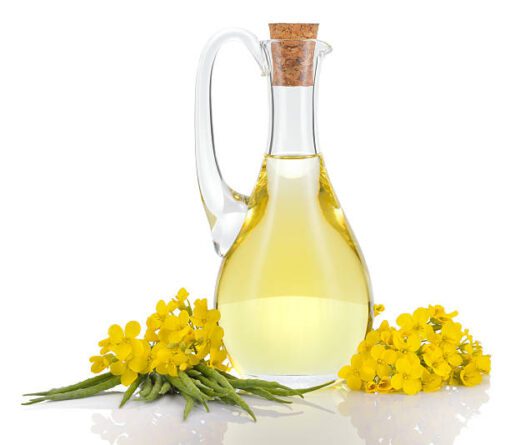 Óleo Canola – Ativo que nutre e hidrata