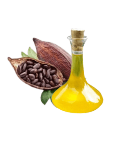Extrato Glicólico de Cacau – Ativo natural nutritivo e revitalizante