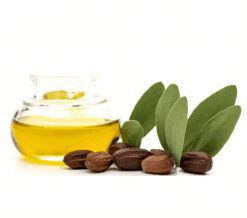 ÓLEO DE JOJOBA - 100ml