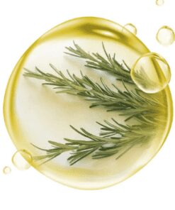 HIDROLATO DE ALECRIM matéria-prima para tônicos faciais e sprays capilares