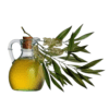 ÓLEO DE MELALEUCA - 1L